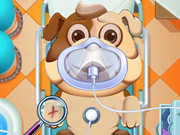 Omen znokautowany zwierzętami