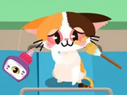 Efeb Taylor Puppy Care Middle